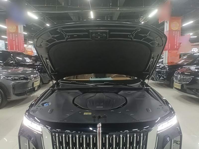 Used Hongqi H9 2025 2.0T Two-Wheel-Drive Flagship Luxury Business Edition 5 Seats — 19