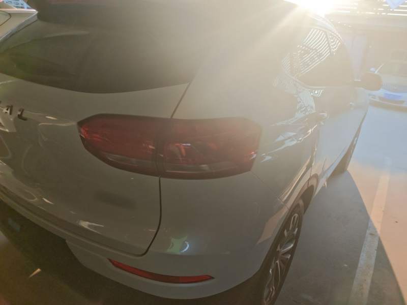 Used Haval H6 2020 1.5 GDIT Automatic Platinum Champion Edition — 7