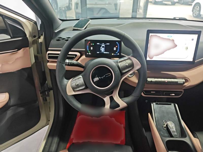 Used BYD Seagull 2023 Active Version — 10
