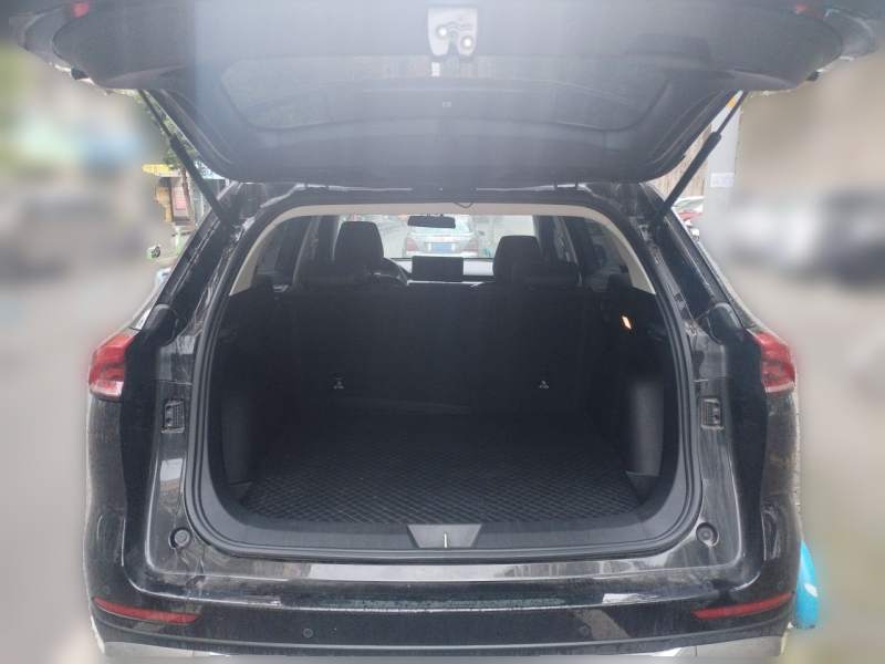 Used Haval H6 2023 National Trend Edition 1.5T Automatic Urban Version — 9