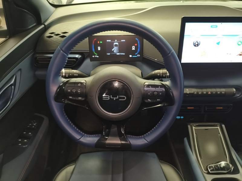 Used BYD Seagull 2025 305 km Free Version — 10