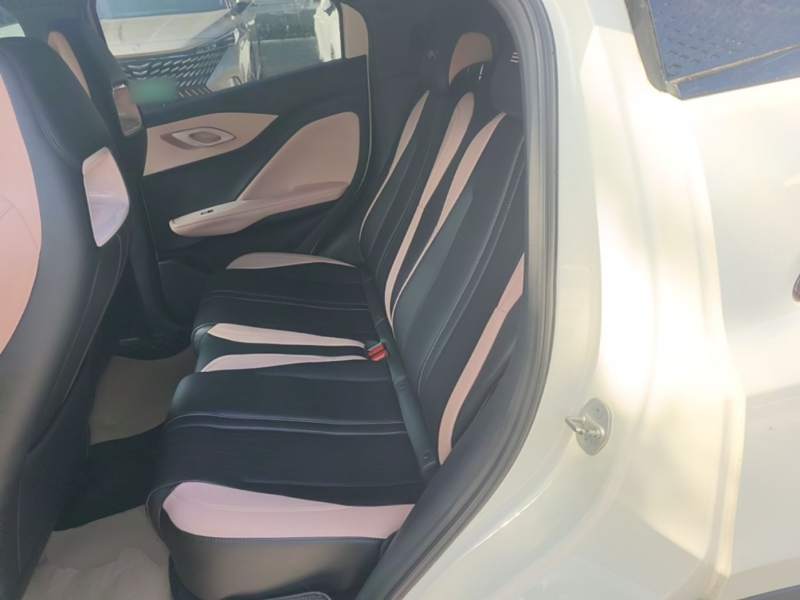 Used BYD Seagull 2023 Free Edition — 16