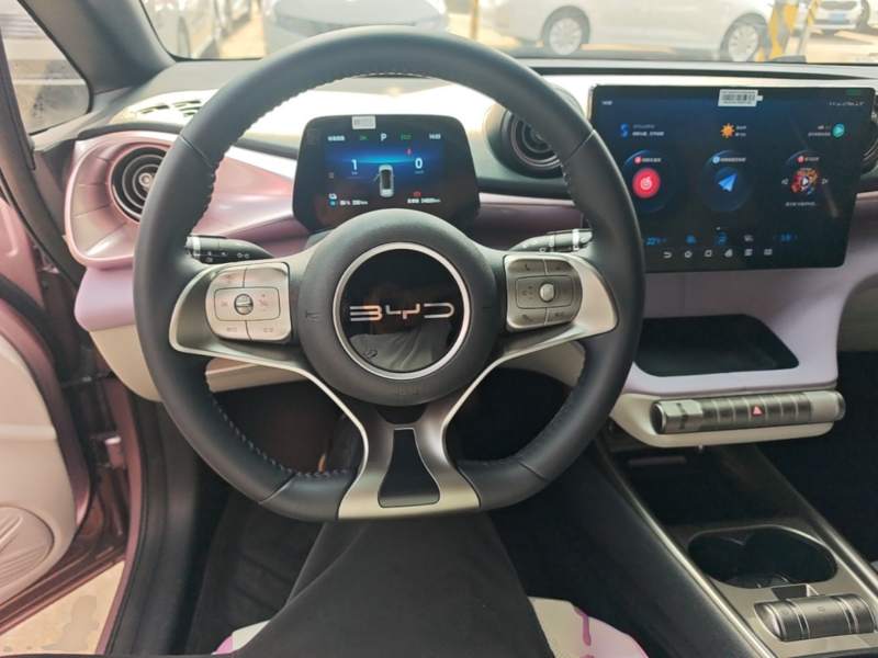 Used BYD Dolphin 2023 420 km Free Version — 10