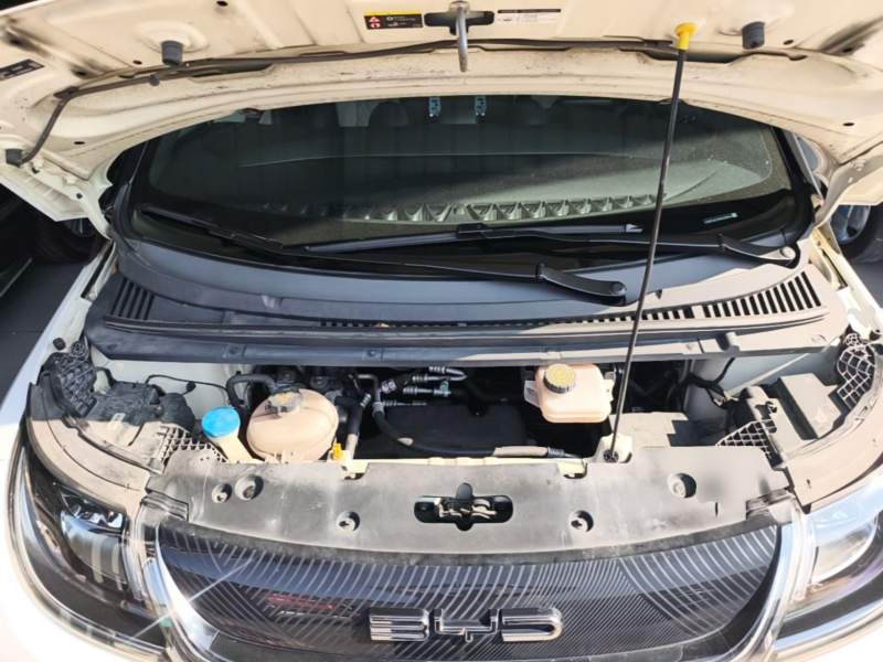 Used BYD Dolphin 2021 405 km Free Version — 19