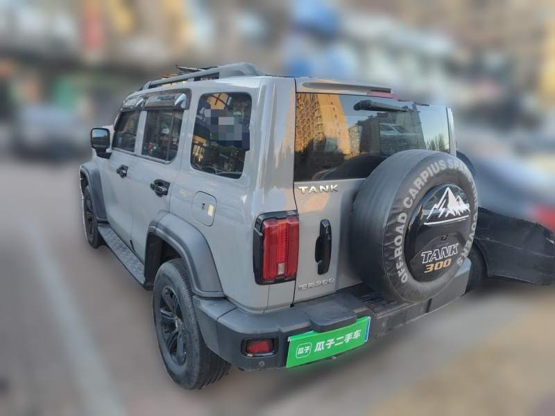Used Tank 300 2021 Off-Road Edition 2.0T Conqueror — 4