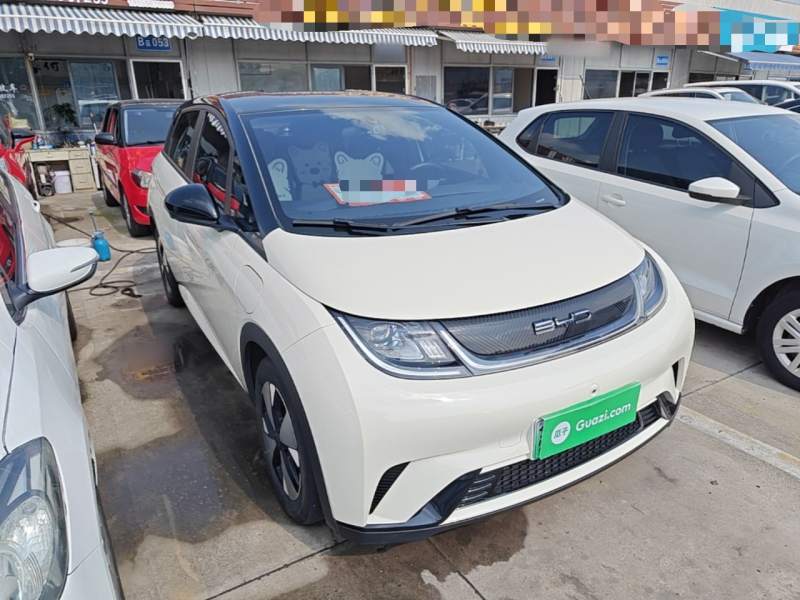 Used BYD Dolphin 2023 420 km Free Version — 3