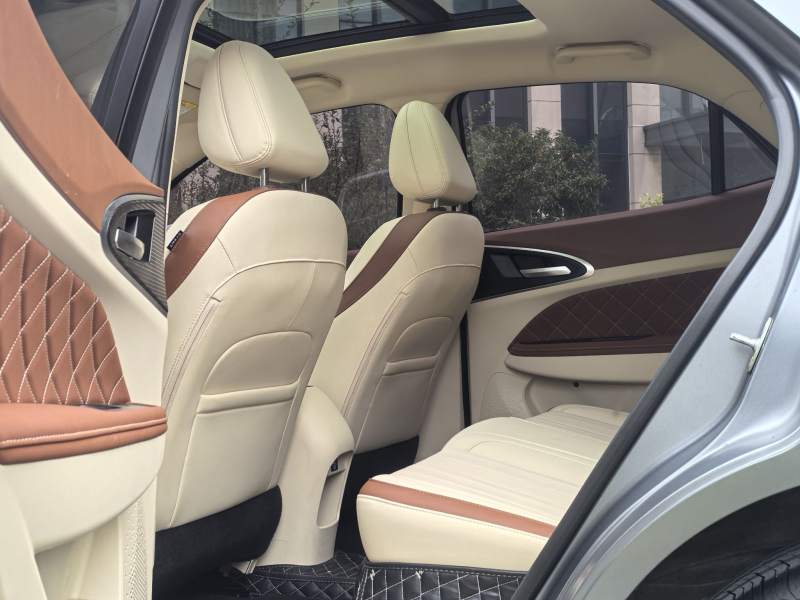 Used ORA Good Cat 2025 Model, 430 km Prestige Version — 40