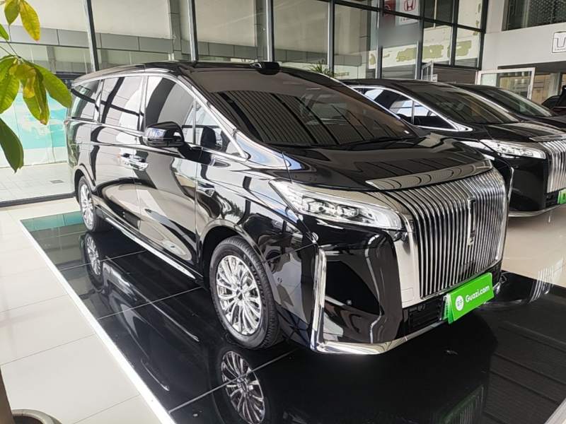 Used Wey Gaoshan 2025 Four-Wheel Drive Alpine 9 — 27