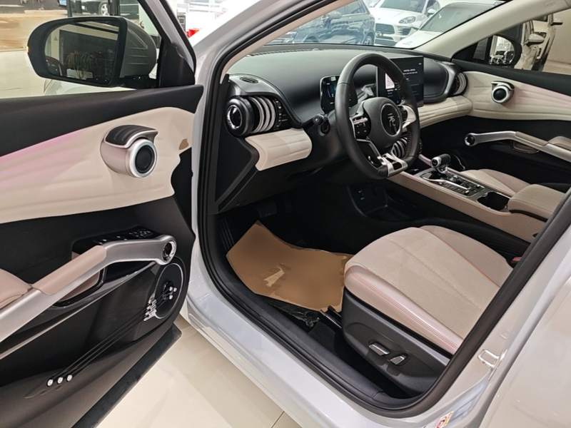Used BYD Yuan PLUS 2023 Champion Edition 510KM Superior Model — 15