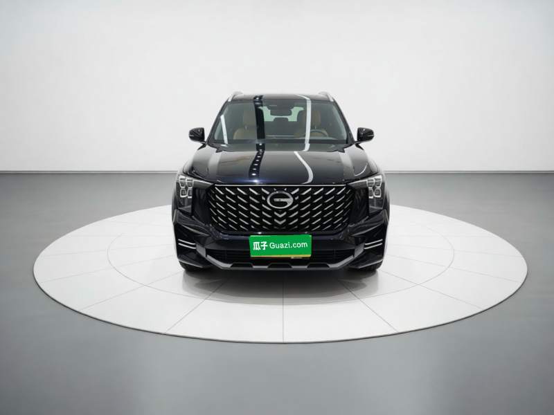 Used GAC Trumpchi GS8 2025 Linghang Series 2.0 TGDI Two-Wheel-Drive Luxury Edition 5 Seats — 2