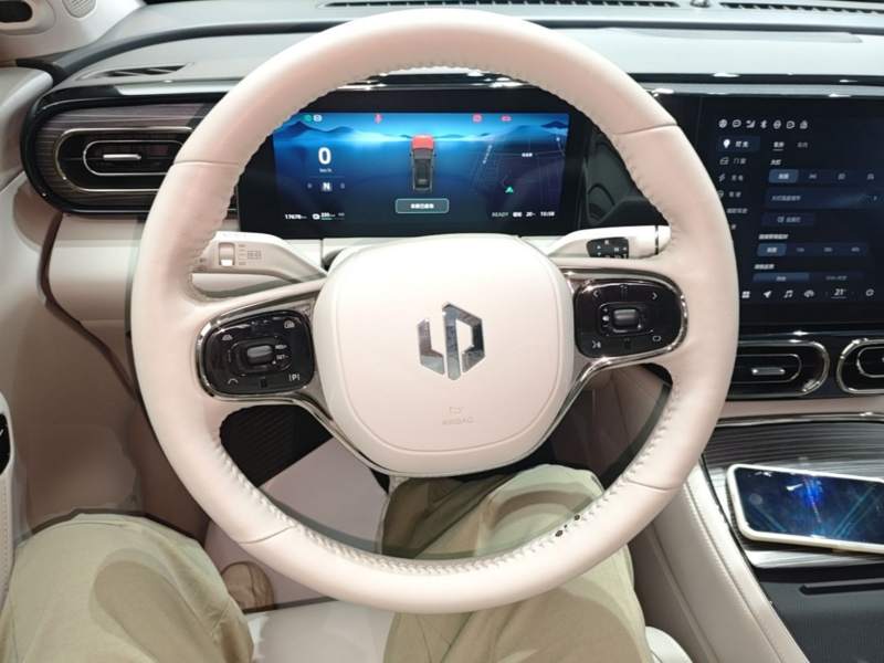 Used Leapmotor C11 2023 Pure Electric 580 All-Wheel-Drive Performance Edition — 10