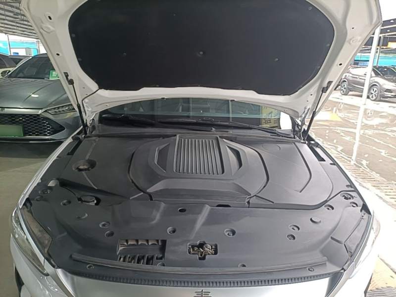 Used BYD Qin PLUS 2021 EV 400KM Luxury Model — 19