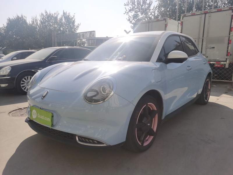 Used ORA Good Cat 2022 400km Standard Range Luxury Version Lithium Iron Phosphate — 1