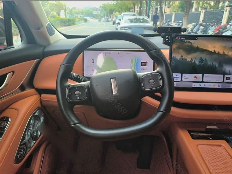 Used Wey Lanshan 2025 Four-Wheel Drive Max — 10