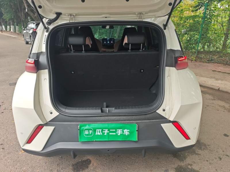 Used BYD Seagull 2025 305km Active Version — 18