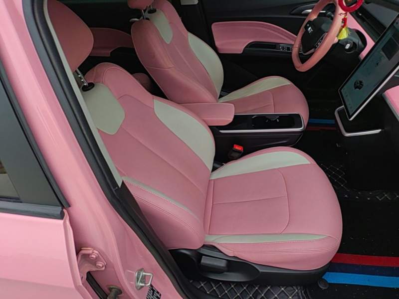 Used NETA V 2022 Chao 400 Lite Pink Custom Edition — 24
