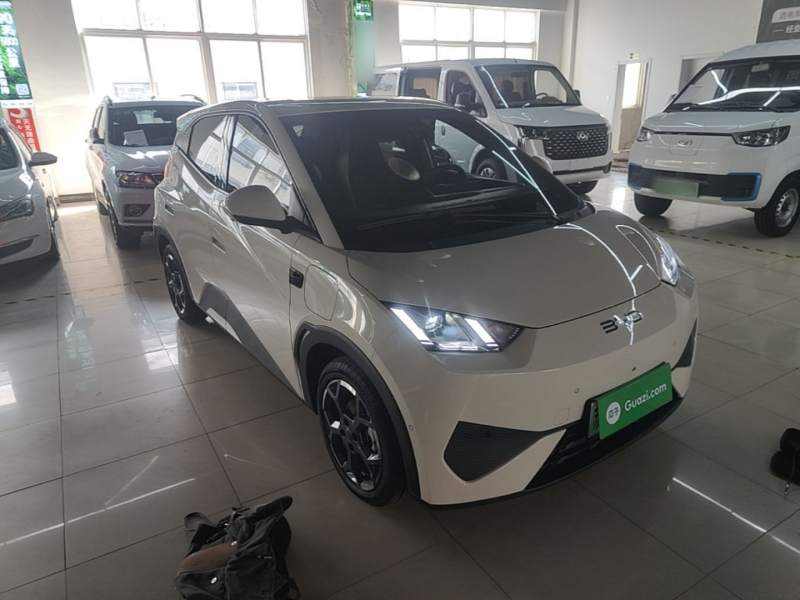 Used BYD Seagull 2025 Smart Drive Version 305 km Freedom Edition — 3
