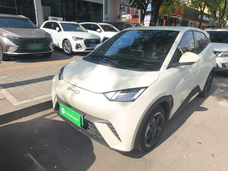 Used BYD Seagull 2023 Free Edition — 1