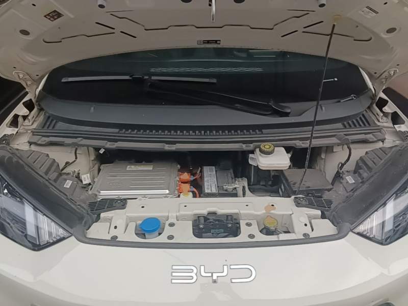 Used BYD Seagull 2024 Honor Edition 305km Dynamic Version — 19