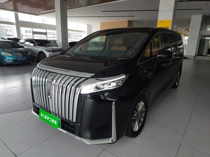 Used Wey Gaoshan 2023 Four-Wheel-Drive Executive Extended Version — 1