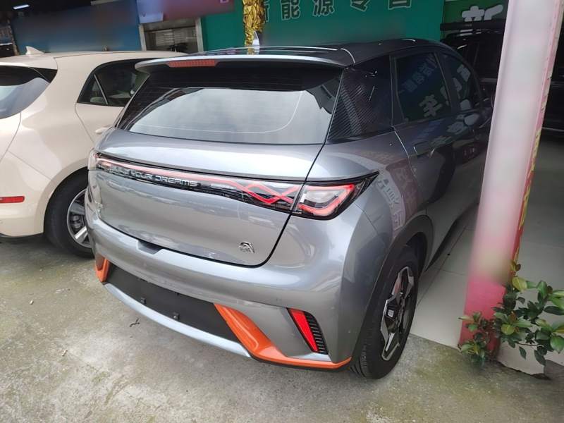 Used BYD Dolphin 2021 405 km Free Version — 6