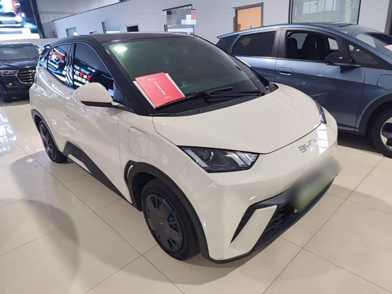 Used BYD Seagull 2024 Honor Edition 305km Dynamic Version — 3