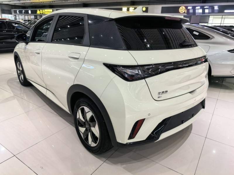 Used BYD Dolphin 2024 Honor Edition 420km Freedom Version — 4