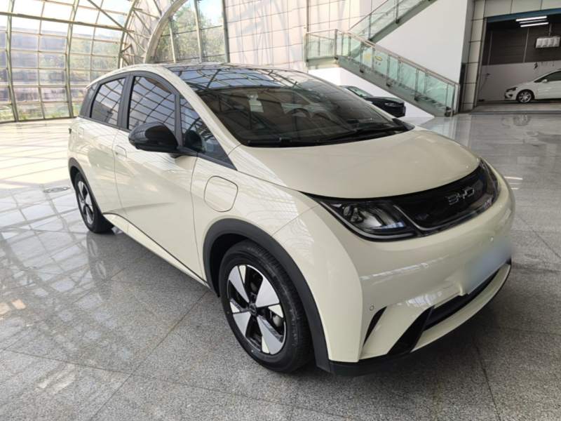 Used BYD Dolphin 2023 420 km Fashion Edition — 3