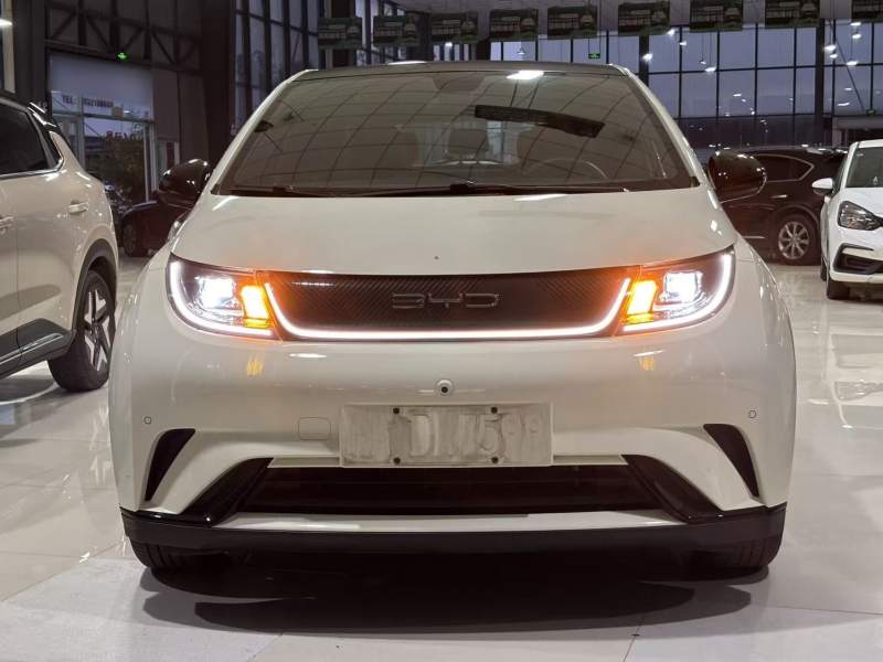 Used BYD Dolphin 2023 420 km Fashion Edition — 2
