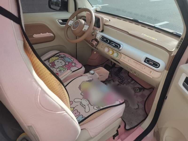 Used Wuling Hongguang MINIEV 2024 3rd Generation 215km Youth Edition — 24