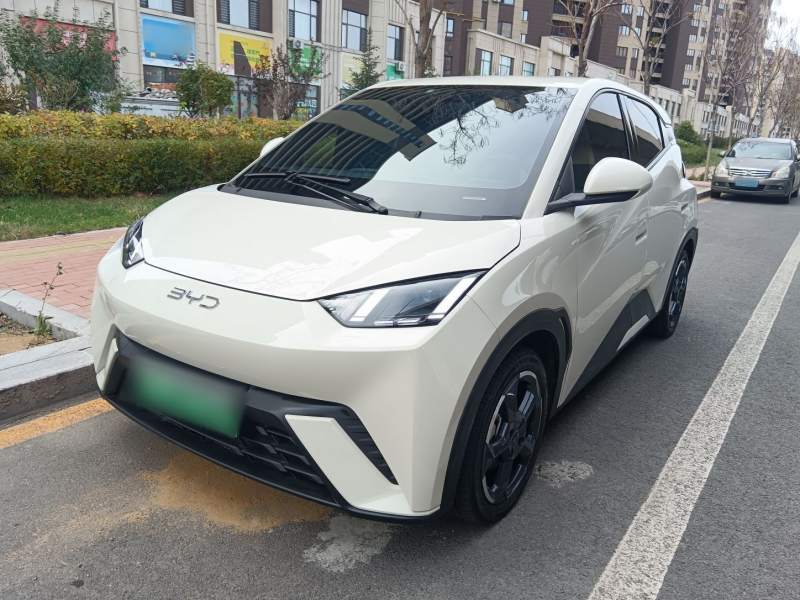 Used BYD Seagull 2023 Free Edition — 1