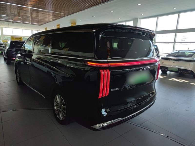 Used Wey Gaoshan 2023 Four-Wheel-Drive Executive Extended Version — 28