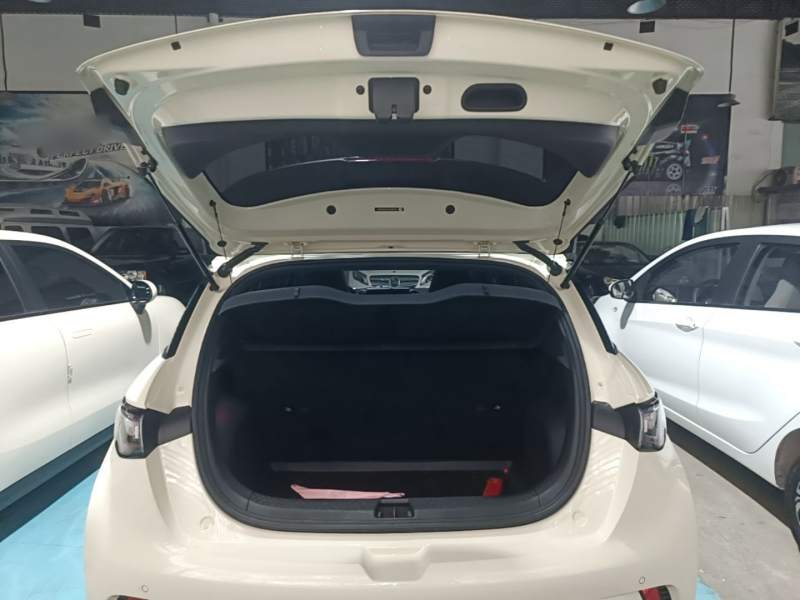 Used BYD Dolphin 2023 420 km Free Version — 18
