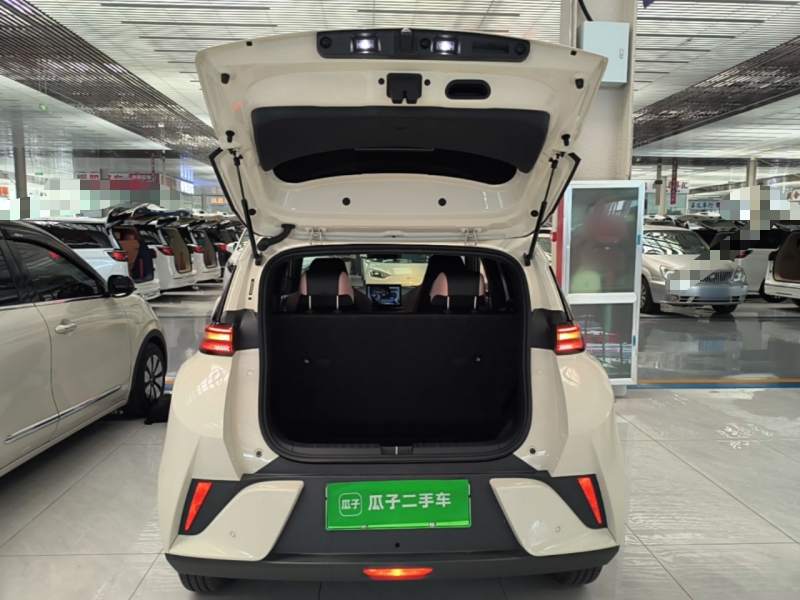 Used BYD Seagull 2025 Intelligent Driving Version 305 km Dynamic Edition — 18