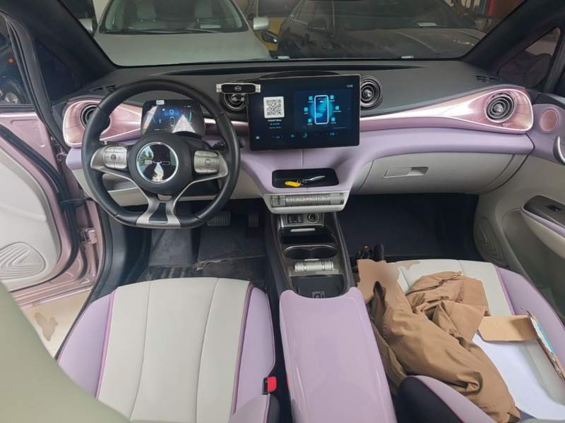 Used BYD Dolphin 2021 401km Knight Edition — 9