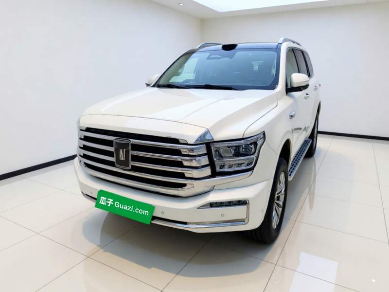 Used Tank 500 New Energy 2026 Model—Hi4-Z Smart Enjoyment Version — 1