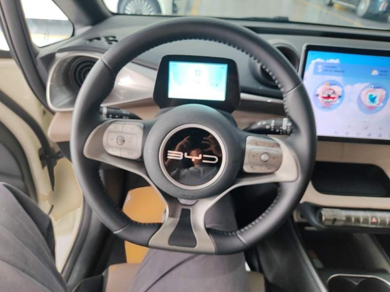 Used BYD Dolphin 2023 420 km Fashion Edition — 10