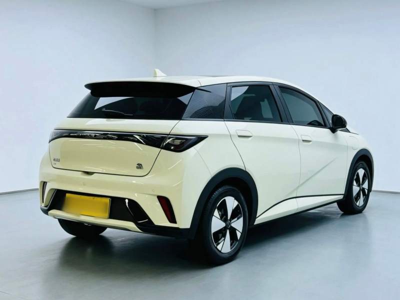 Used BYD Dolphin 2023 420 km Fashion Edition — 33