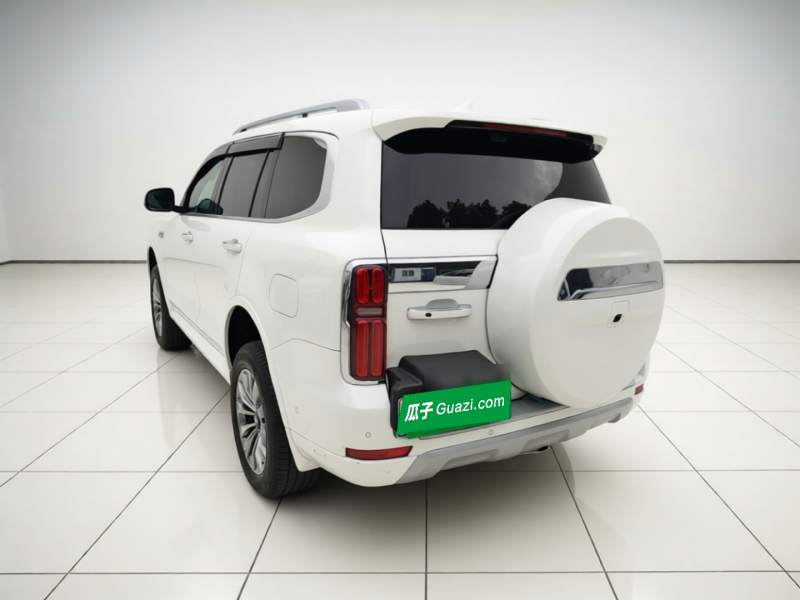 Used Tank 500 New Energy 2026 Model—Hi4-T Smart Enjoyment Version — 4