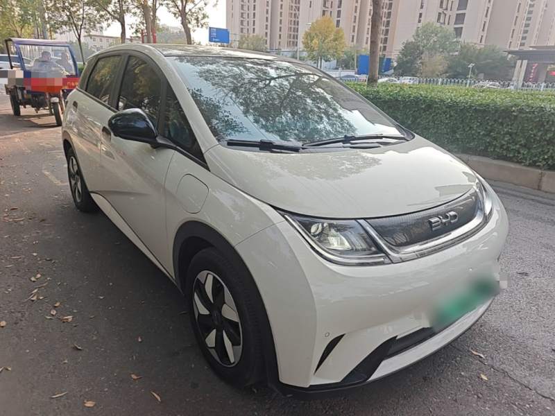 Used BYD Dolphin 2025 420km Fashion Edition — 3