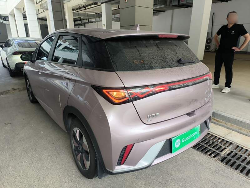 Used BYD Dolphin 2025 420km Free Edition — 4