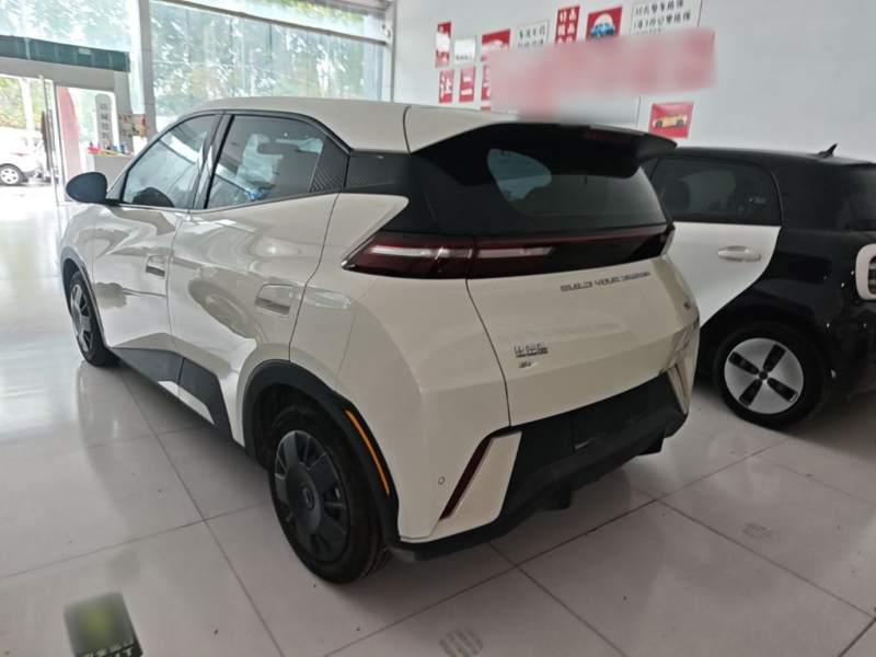 Used BYD Seagull 2024 Honor Edition 305km Dynamic Version — 4