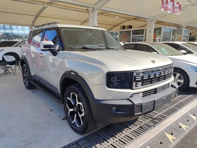 Used JETOUR Shanhai T1 2025 150 km to the Lake — 3