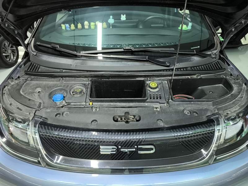 Used BYD Dolphin 2023 401km Knight Edition — 19