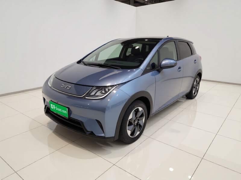 Used BYD Dolphin 2024 Honor Edition 420km Fashion Version