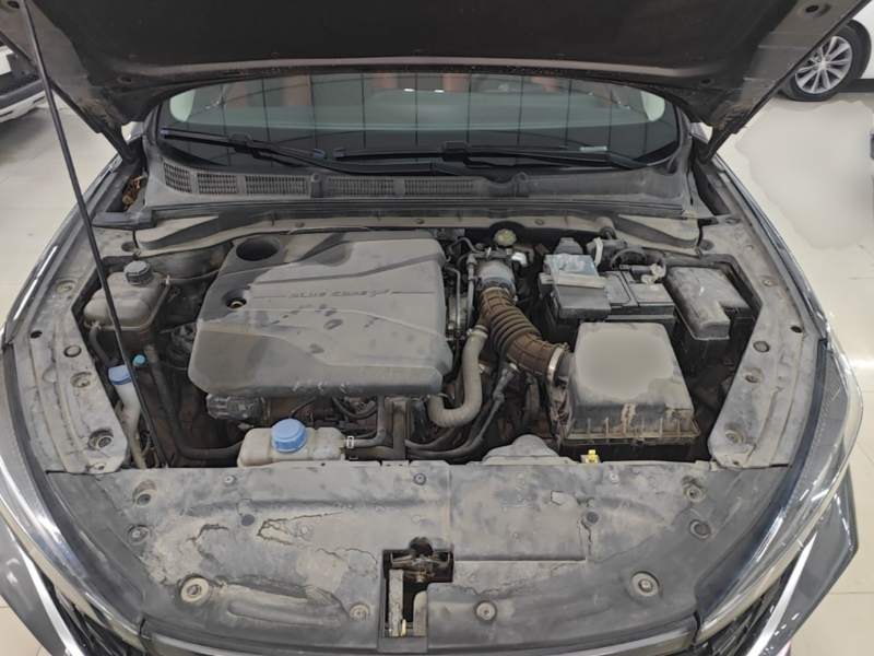 Used CHANGAN Eado 2022 PLUS Blue Whale NE 1.4T GDI DCT Prestige Edition — 19