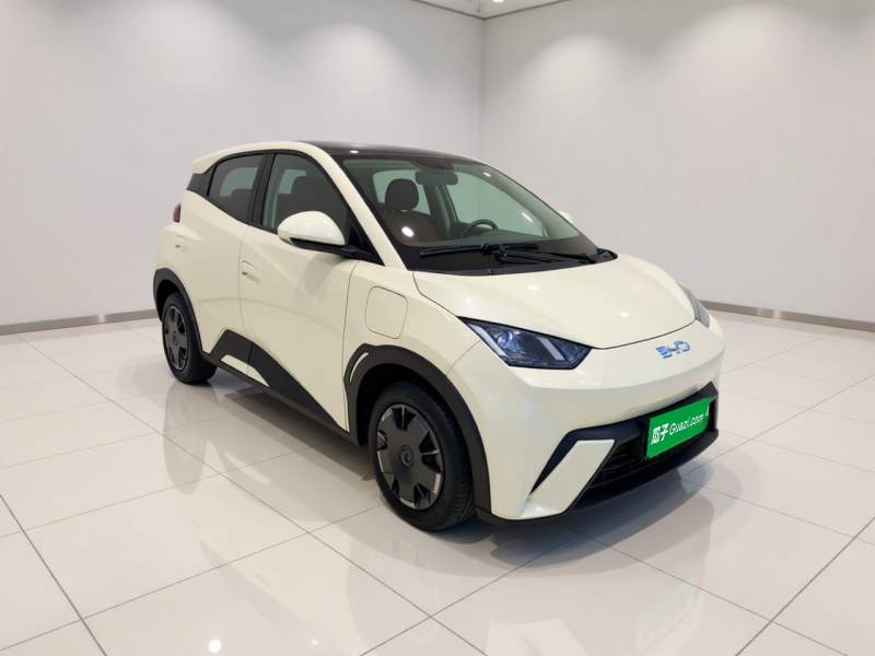 Used BYD Seagull 2024 Honor Edition 305km Dynamic Version — 3