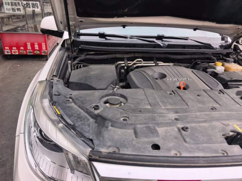Used Haval H9 2017 2.0T Gasoline 4×4 Luxury 7-Seater — 23