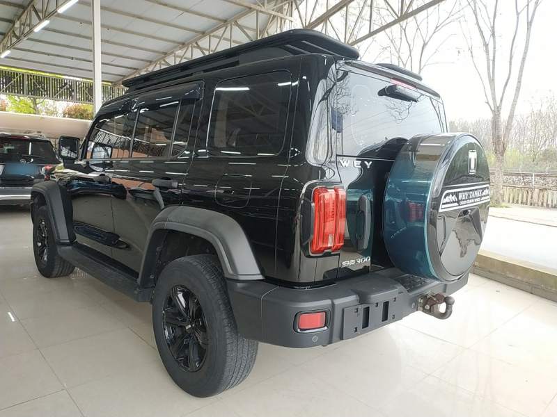 Used Tank 300 2021 Off-Road Edition 2.0T Conqueror — 4