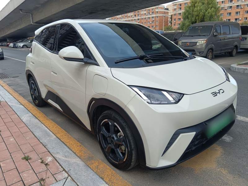 Used BYD Seagull 2023 Free Edition — 12
